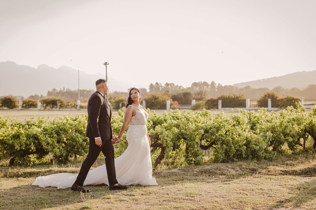 Bride and groom in the Klein Parys vineyards at golden hour